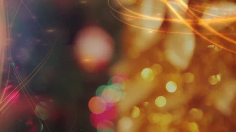 Christmas Tree close up on brances Stock Footage 70820409