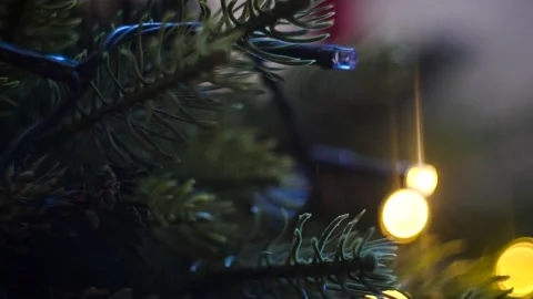 Christmas Tree Close Up Stock Footage 228879548