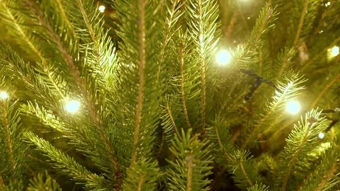Christmas Tree Close-Up Illuminated Lighting Stock Footage 83475732