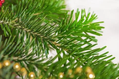 Christmas tree close up Stock Photos