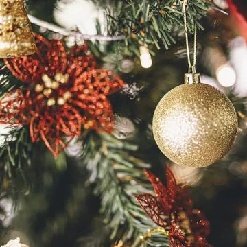 Christmas tree close-up. Stock Photos