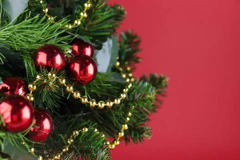 Christmas tree close-up, spruce branches with red balls Stock Photos