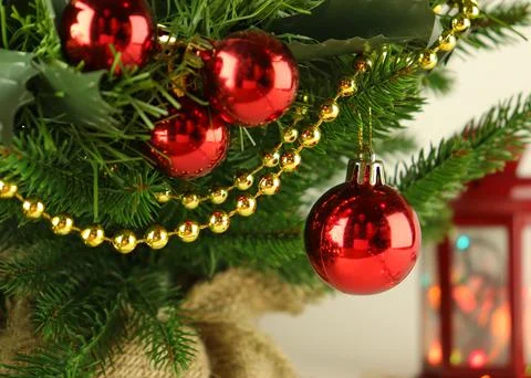 Christmas tree close-up, spruce branches with red balls Stock Photos