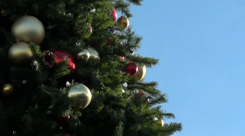 Christmas Tree Closeup 2 Stockbeeldmateriaal 10681985