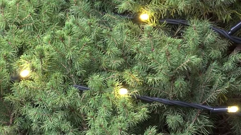Christmas tree closeup Stock Footage 70467232