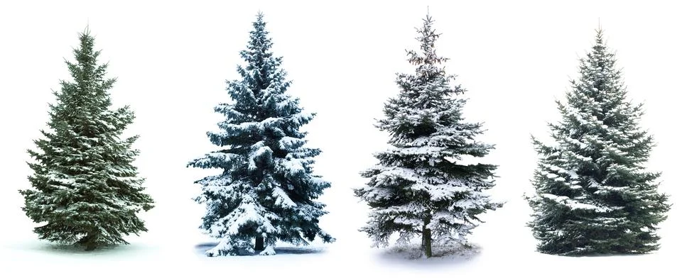 Christmas Tree collage Fotos Stock