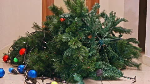 Christmas tree collapsing onto a corridor floor as the holiday ends Stock-Footage 343142534