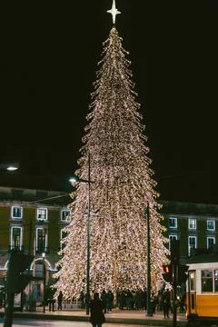Christmas tree on Commerce square at night in Lisbon, Portugal Foto stock