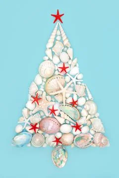 Christmas Tree Concept Shape with Seashell Collection Stock Photos