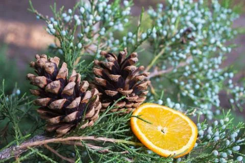 Christmas Tree with Cones Stock Photos