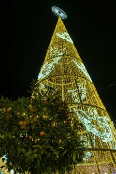 Christmas Tree on Constitution square in Malaga, Spain Stock Photos