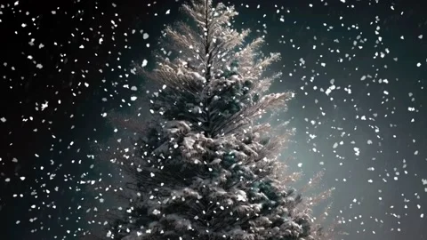 Christmas tree covered in snow with snowfall Stock Footage 226827811
