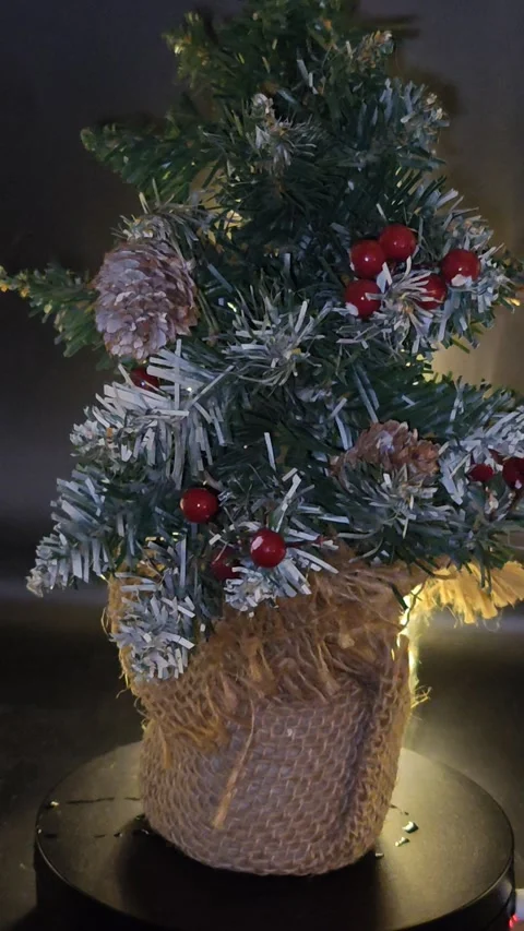 Christmas tree on a dark background Stock-Footage 323760960