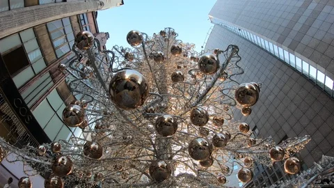 Christmas Tree - Day Stock Footage 99585474