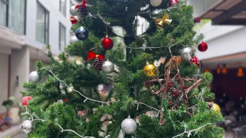 Christmas tree in day time Video stock 311232856