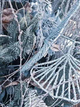 Christmas tree decor Stock Photos