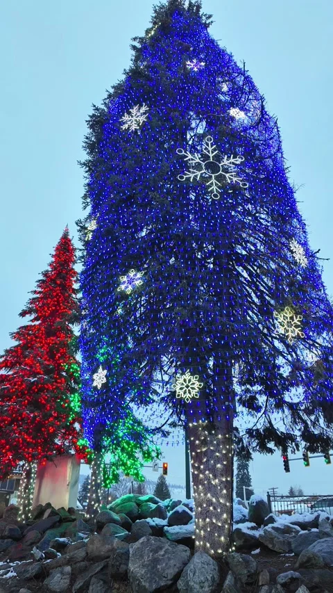 The Christmas tree is decorated with lights. Stock Footage 338315162