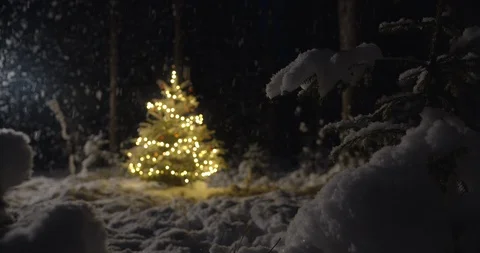 Christmas tree decorated with lights outside in snowy forest in winter night Stock Footage 128951146