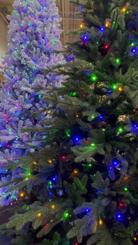 Christmas tree decorated with red balls, toys and lights is reflected in the Stock Footage 299507268