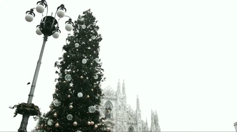 The Christmas tree decorated in the square of the cathedral Stock Footage 58218150