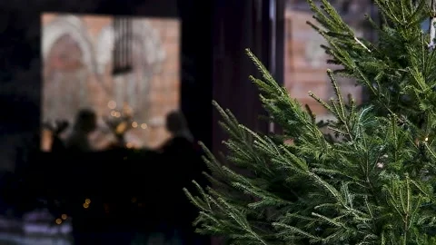 Christmas tree decorates the interior of the cafe Stock Footage 211166274