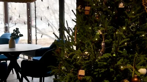 Christmas tree decorates the interior of the cafe Vídeo Stock 211166350