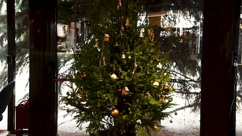 Christmas tree decorates the interior of the cafe 動画素材 220617442