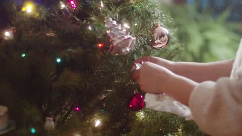 Christmas Tree Decorating 6K 24FPS Stock Footage 144463097