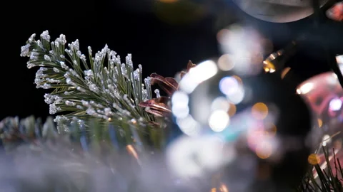 Christmas Tree Decoration. Close Up View Of A Pine Cone. Stock Footage 219381248
