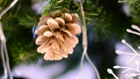 Christmas tree decorations close-up with variable focus under low lighting.  Chr Stock Footage 145659867
