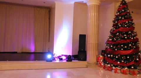 Christmas tree with decorations. Stock-Footage 35595330