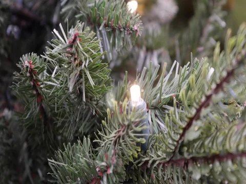 Christmas tree with decorations Stock Footage 82017886