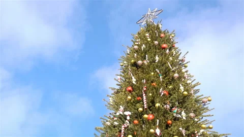 Christmas tree in decorations Stock Footage 141331236