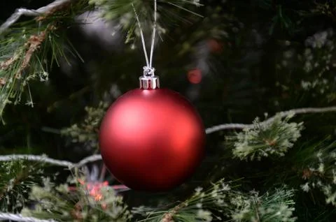 Christmas tree decorations Stock Photos