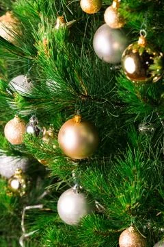 Christmas Tree decorations Stock Photos