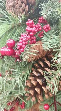 Christmas Tree Decorations Stock Photos