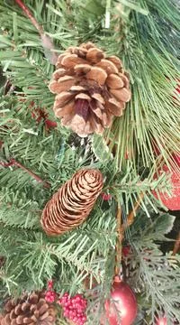 Christmas Tree Decorations Stock Photos