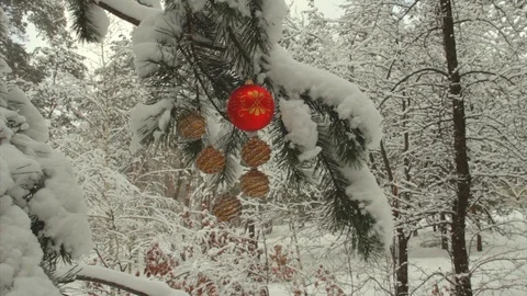 Christmas tree decorations on a pine tree in a snowy forest Stock Footage 100446052