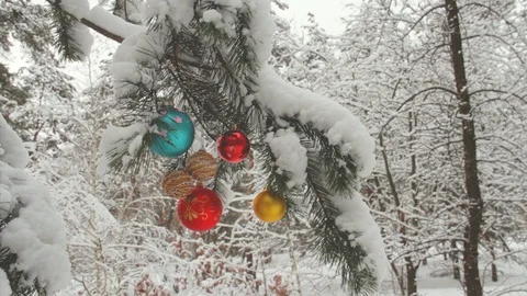 Christmas tree decorations on a pine tree in a snowy forest Stock Footage 100446206