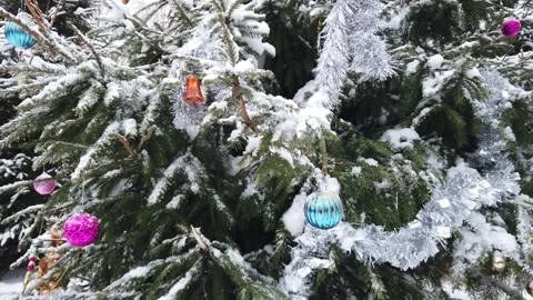 Christmas tree with decorations in winter forest Stock Footage 145977204
