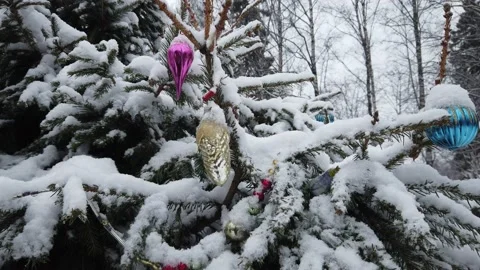 Christmas tree with decorations in winter forest Stock Footage 146032543