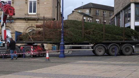 Christmas tree delivery and install in town centre wide shot Stock Footage 146137282