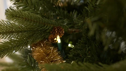 Christmas tree details Stock Footage 120639895