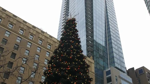 Christmas Tree in a downtown square surrounded by buildings Vídeos de archivo 97856780