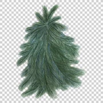 Christmas Tree Drawn by Colored Pencil Isolated on White Background. Stock Illustration