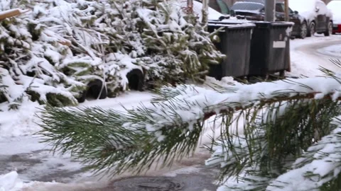 Christmas tree at the dump under the snow Stock Footage 100181065