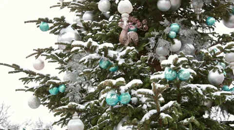 Christmas tree during snowing. Stock Footage 52461733