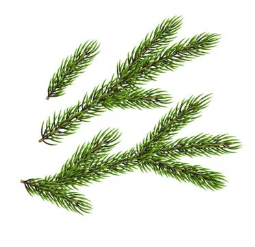 Christmas tree elements Stock Illustration