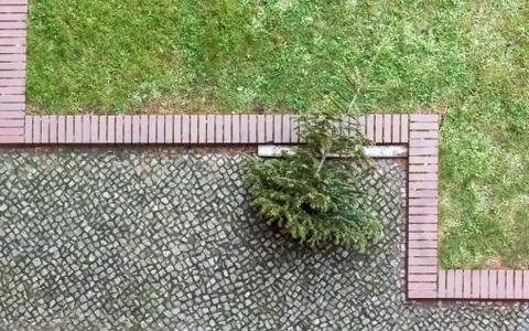 The Christmas tree is at the end of the cobblestone Stock Photos