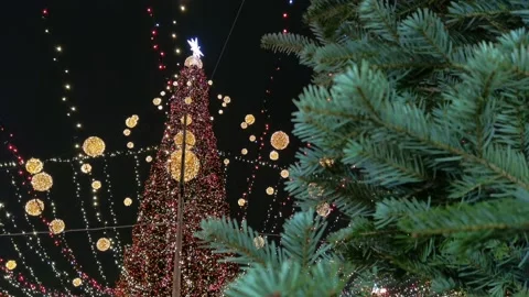 The Christmas tree in the evening and the lights of the garlands. Vidéo 220608775